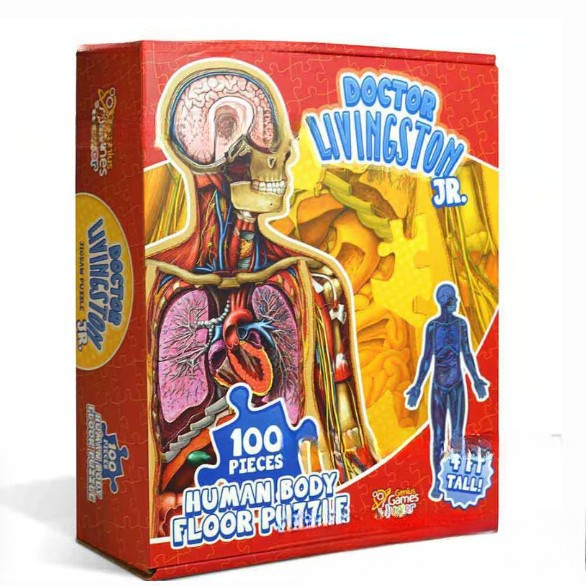 🧩 Human Anatomy Puzzle for Kids