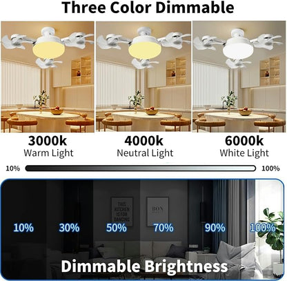 Ceiling Fans with Lights and Remote