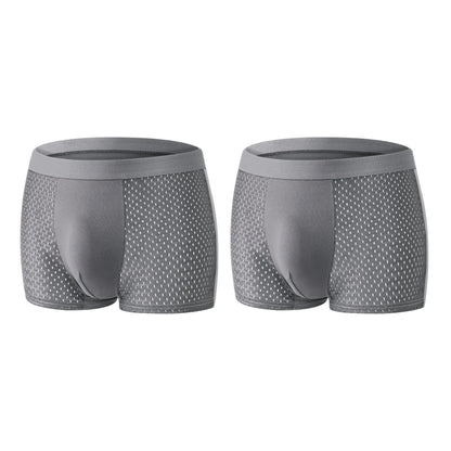 🩲 Premium Leakproof lce Silk Mesh Men's Boxer
