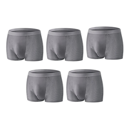 🩲 Premium Leakproof lce Silk Mesh Men's Boxer