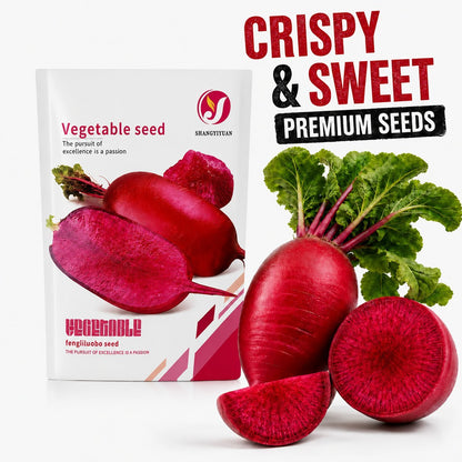 🌱 Pineapple Radish Seeds | Sweet Red-Skinned, Red-Fleshed Crunchy Radish for Home Gardens