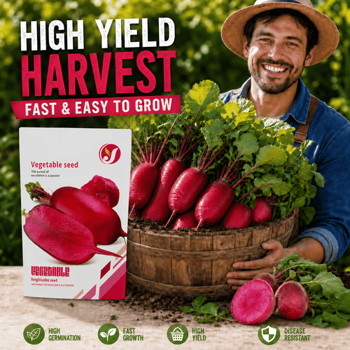 🌱 Pineapple Radish Seeds | Sweet Red-Skinned, Red-Fleshed Crunchy Radish for Home Gardens