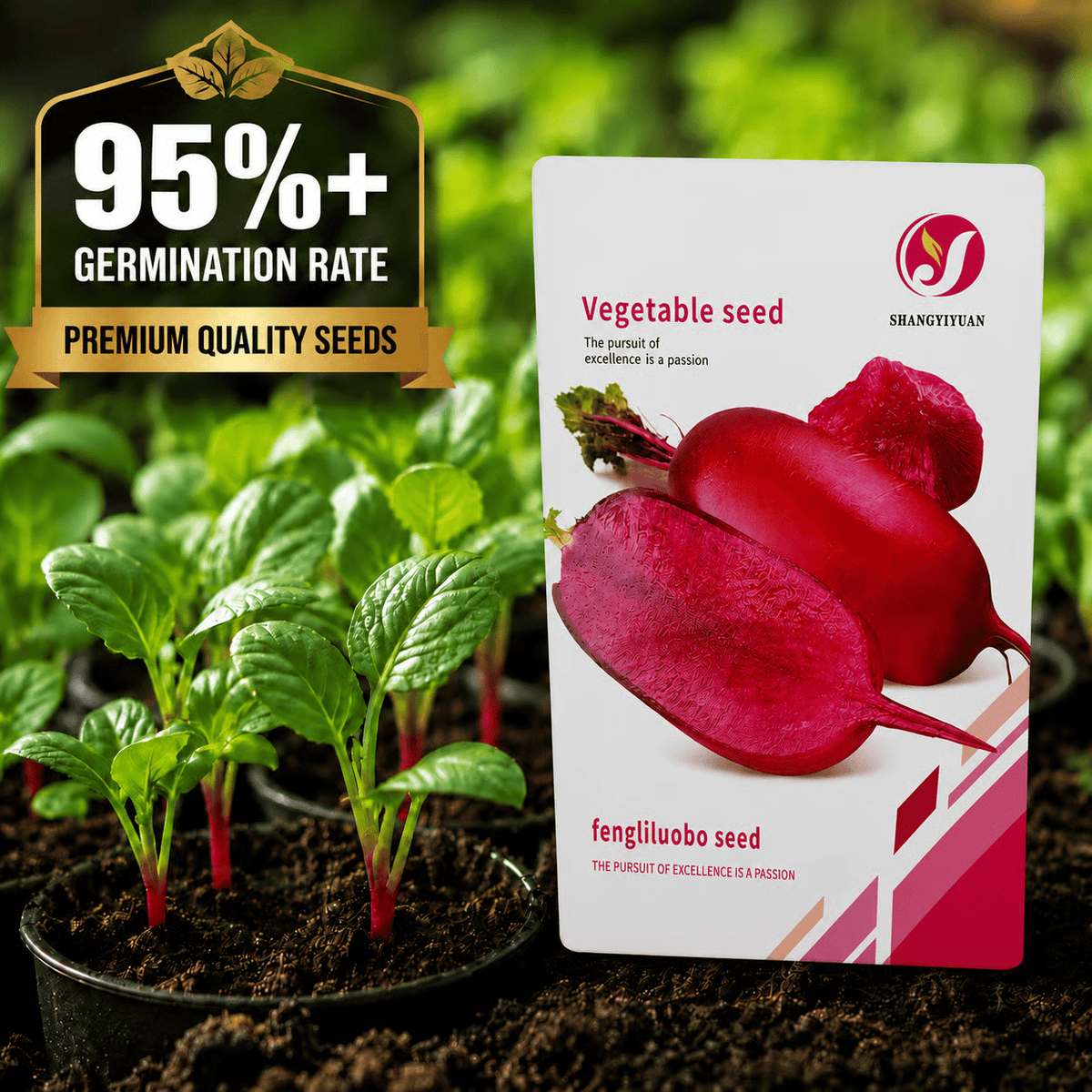 🌱 Pineapple Radish Seeds | Sweet Red-Skinned, Red-Fleshed Crunchy Radish for Home Gardens