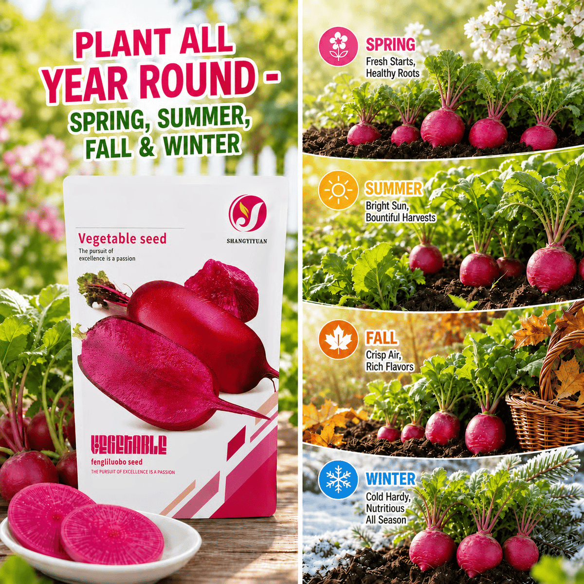 🌱 Pineapple Radish Seeds | Sweet Red-Skinned, Red-Fleshed Crunchy Radish for Home Gardens