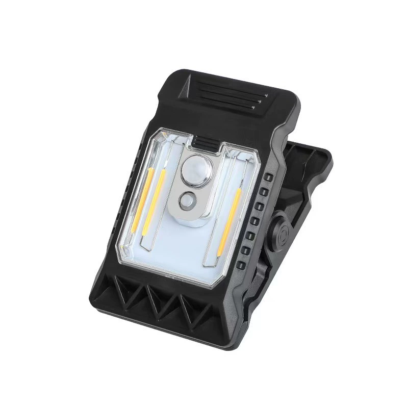 Solar Motion Sensor Light