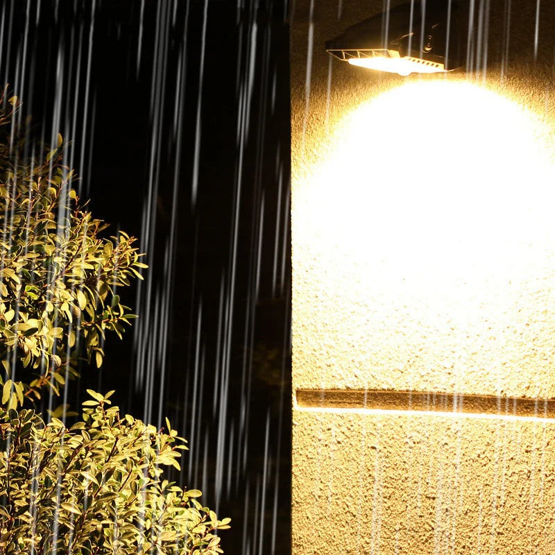 Solar Motion Sensor Light