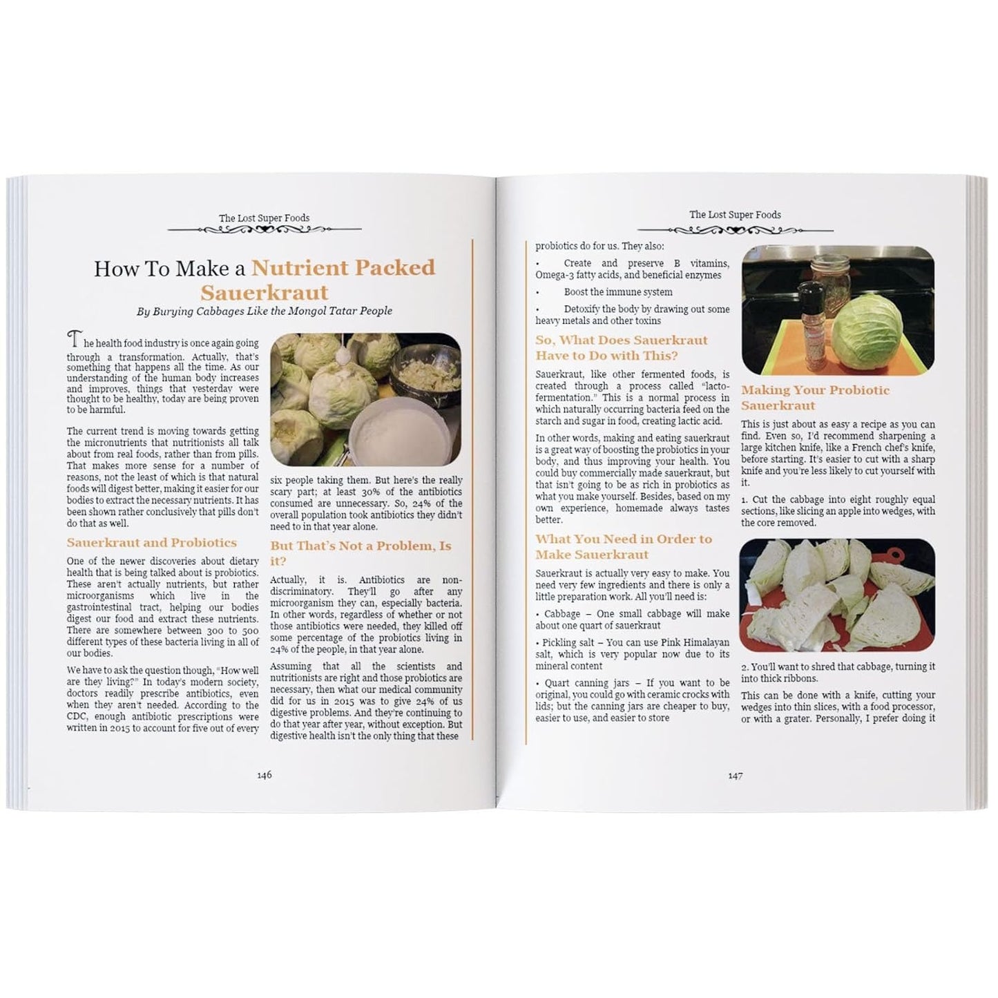 The Lost Super Foods 126+ Survival Foods and Tips for Your Stockpile