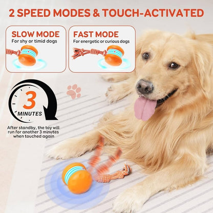 🐶 Smart Buddy Ball- Keep Your Pet Relaxed, Happy & Content 🐾