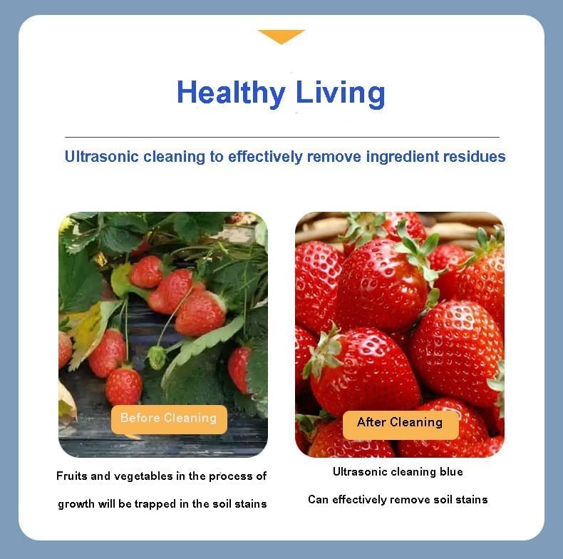 Ultrasonic Fruits Vegetable Washing Basket