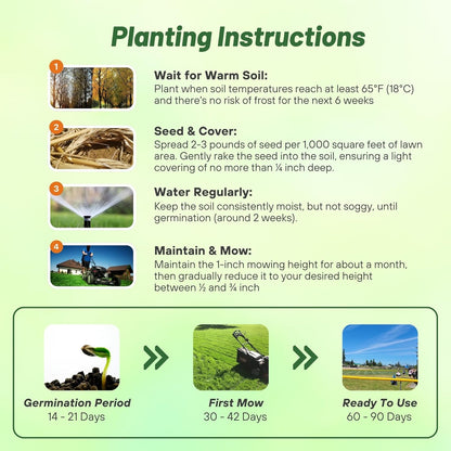 7 Days Germination🌱 Evergreen Dwarf Grass for Four Seasons