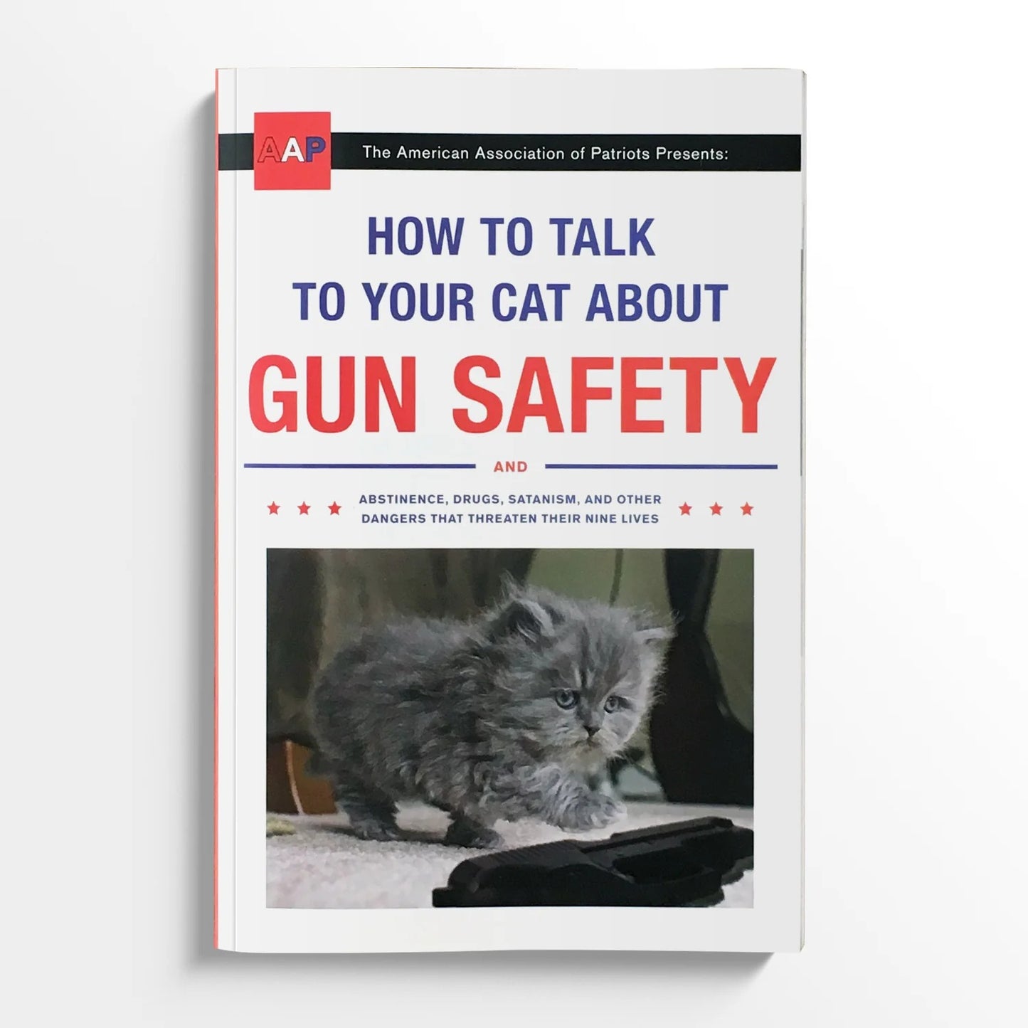 How to Talk to Your Cat About Gun Safety