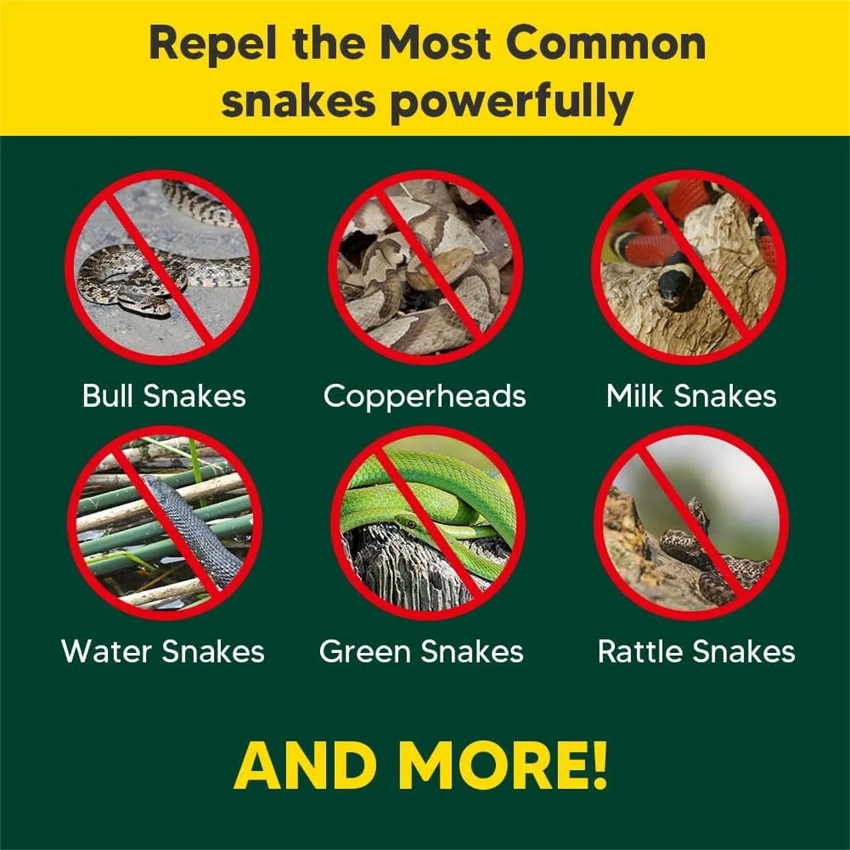 🛡️Snakes & Lizards Repellent Pouches
