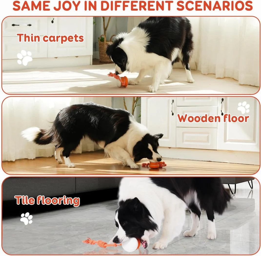 🐶 Smart Buddy Ball- Keep Your Pet Relaxed, Happy & Content 🐾