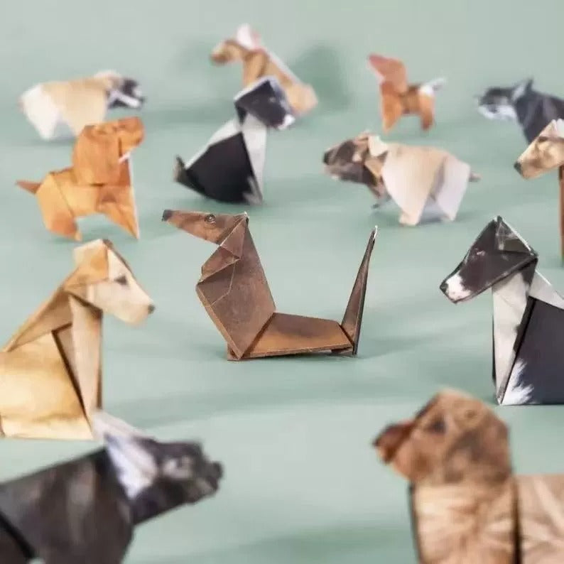 150 Sheets Origami Set: Cat, Dog & Dinosaur Designs