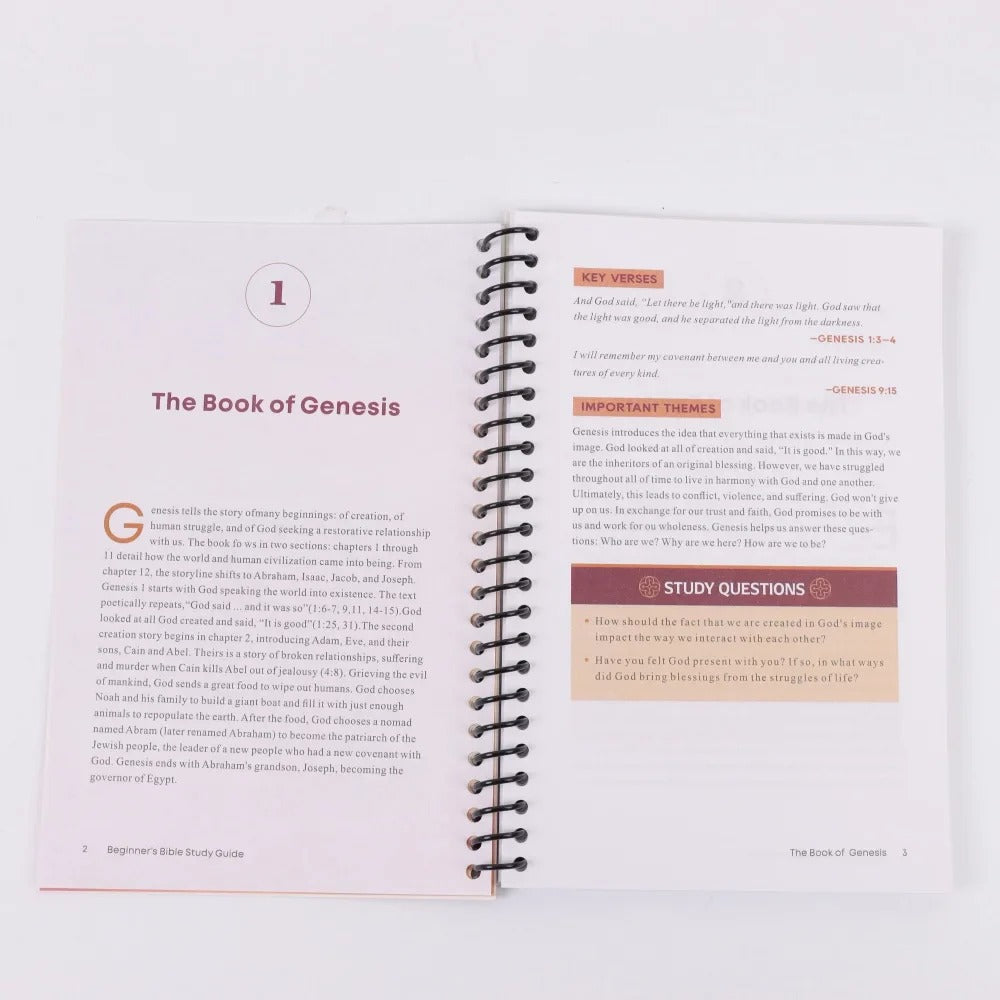 The Beginner's Bible Study Guide