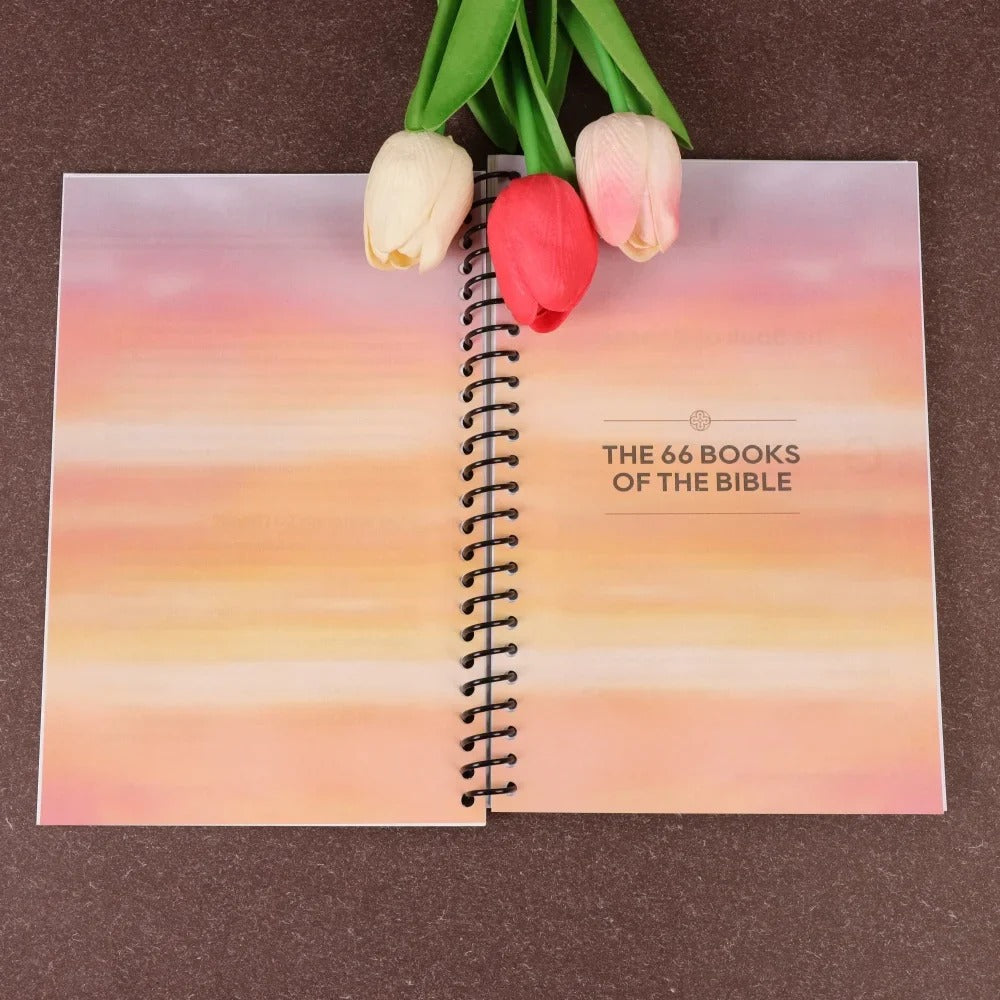 The Beginner's Bible Study Guide