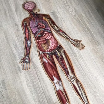 🧩 Human Anatomy Puzzle for Kids