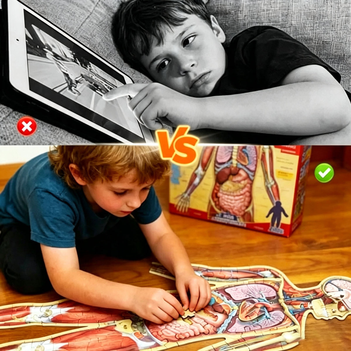 🧩 Human Anatomy Puzzle for Kids