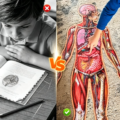 🧩 Human Anatomy Puzzle for Kids