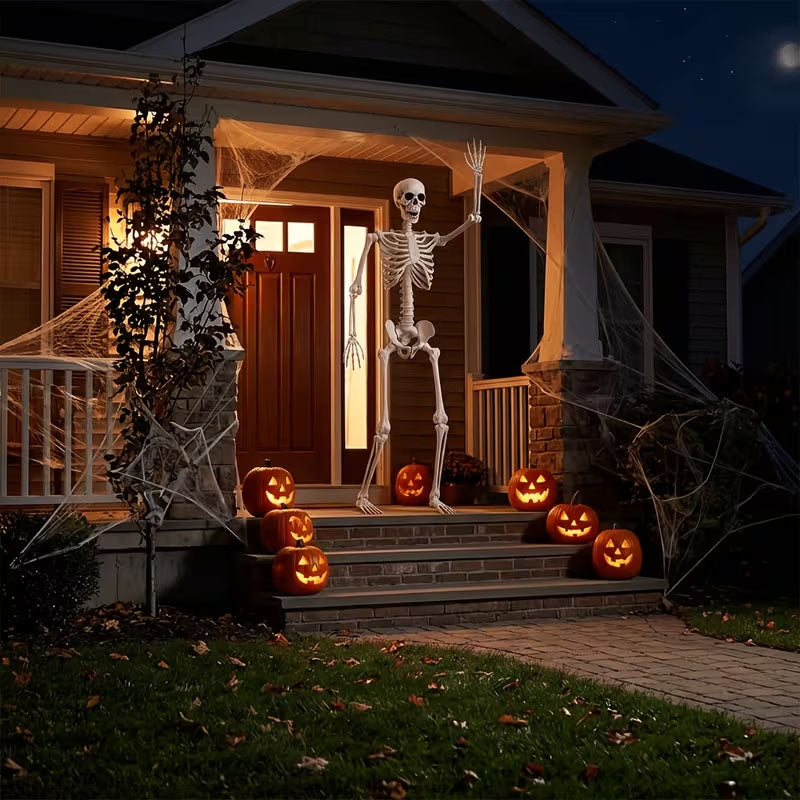 🦀💀 Full-Body Posable White Plastic Human Skeleton Suitable for Halloween