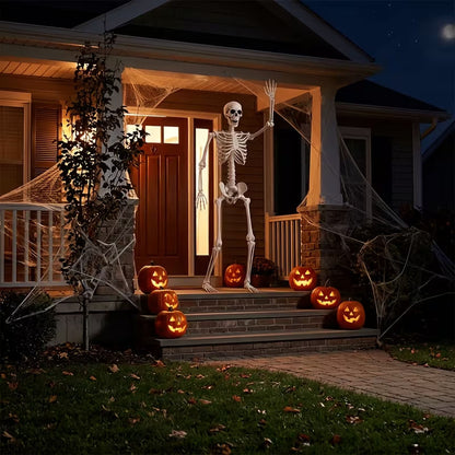 🦀💀 Full-Body Posable White Plastic Human Skeleton Suitable for Halloween