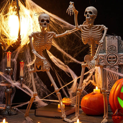 🦀💀 Full-Body Posable White Plastic Human Skeleton Suitable for Halloween