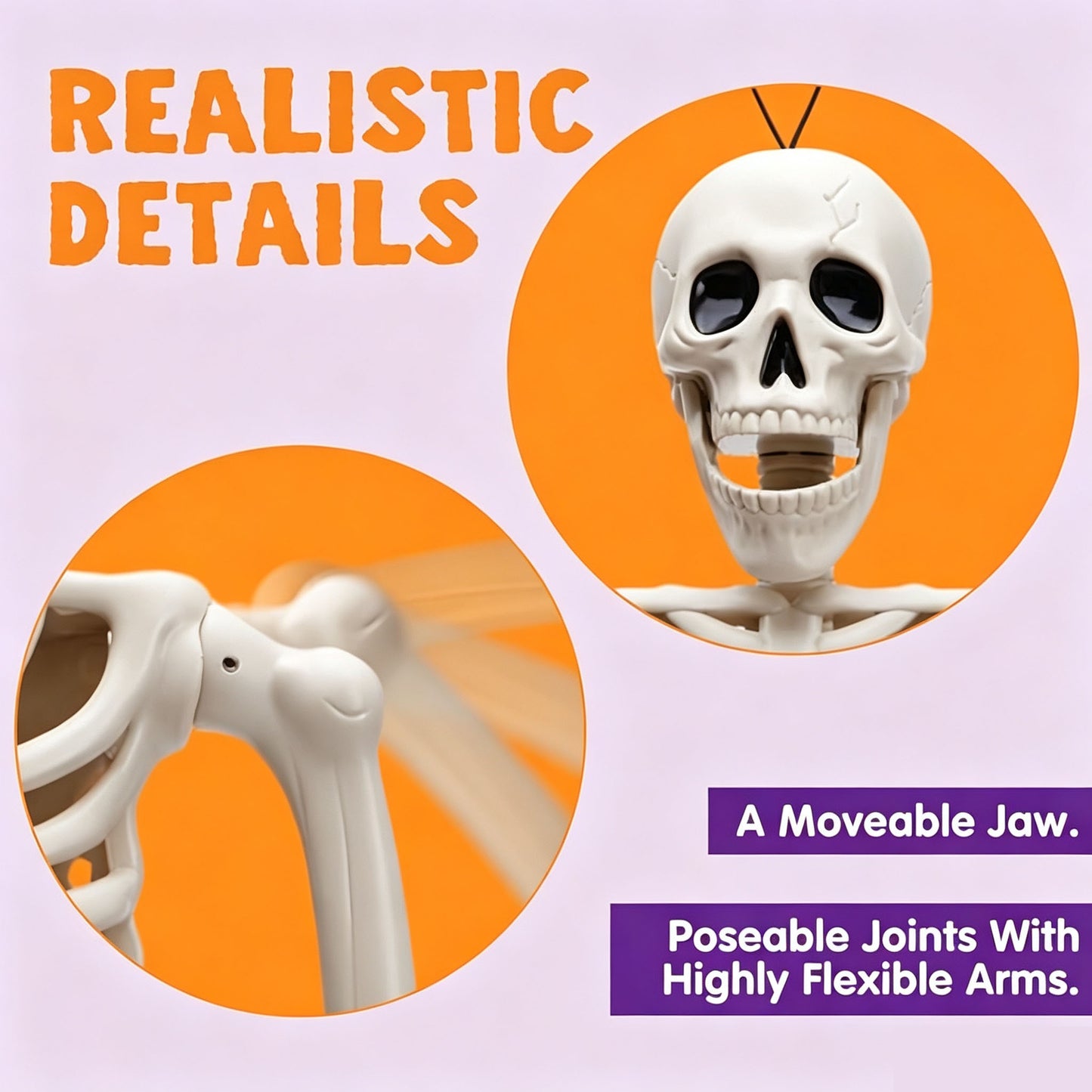 🦀💀 Full-Body Posable White Plastic Human Skeleton Suitable for Halloween