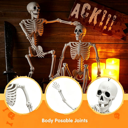 🦀💀 Full-Body Posable White Plastic Human Skeleton Suitable for Halloween