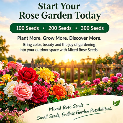🌹  Mixed Rose Seeds – Bring More Beauty to Your Garden