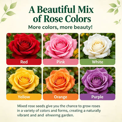 🌹  Mixed Rose Seeds – Bring More Beauty to Your Garden